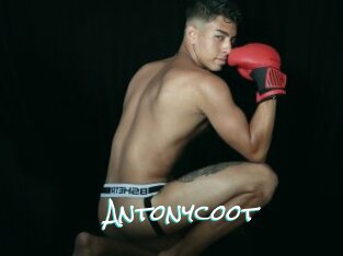 Antonycoot