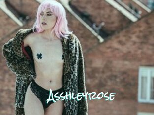Asshleyrose