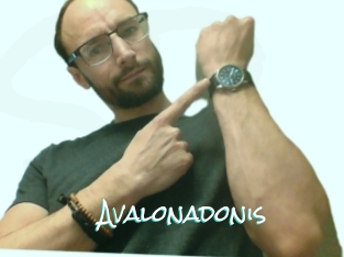 Avalonadonis