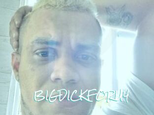 BIGDICKFORU4