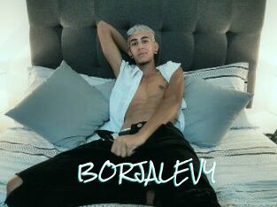 BORJALEVY