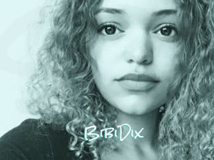 BibiDix
