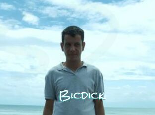 Bicdick