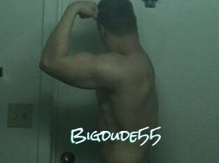 Bigdude55