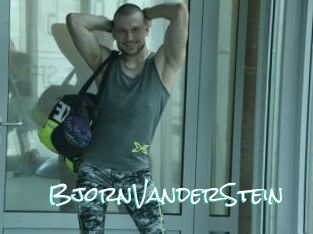 BjornVanderStein