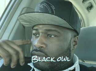 Black_owl