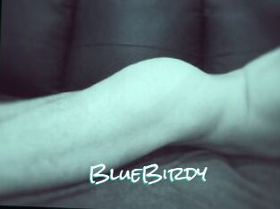 BlueBirdy
