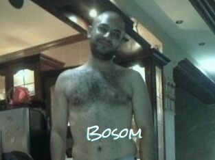 Bosom
