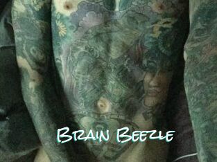 Brain_Beezle