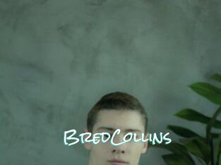 BredCollins