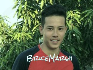BriceMarsh
