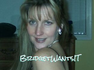 BridgetWantsIT