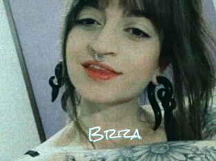 Briza