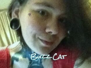 Buzz_Cat