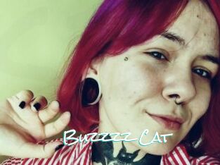 Buzzzz_Cat