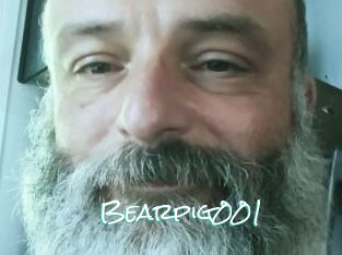 Bearpig001