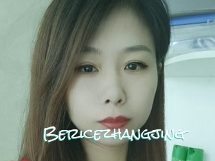 Bericezhangjing