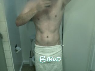 Bibud