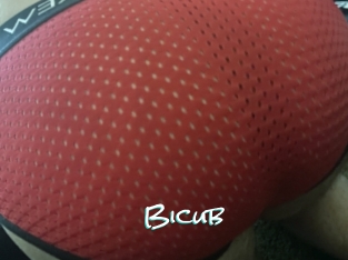 Bicub