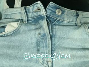 Bigcock24cm