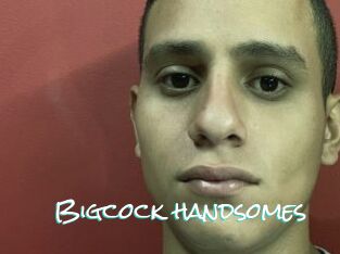 Bigcock_handsomes