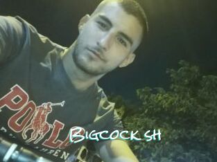 Bigcock_sh