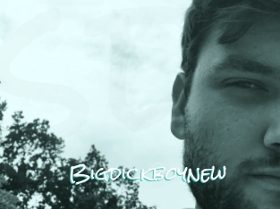 Bigdickboynew