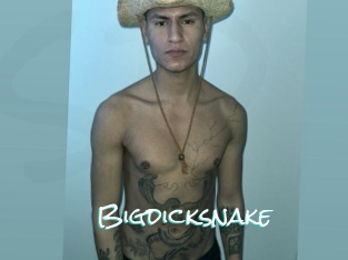 Bigdicksnake