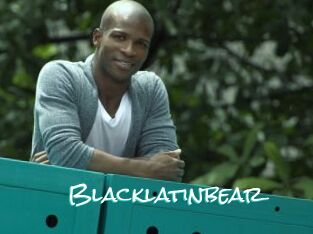 Blacklatinbear