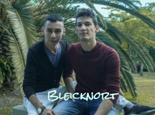 Bleicknort