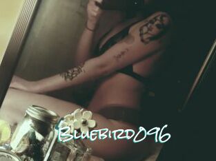 Bluebird096