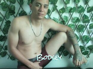 Bodsey