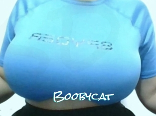 Boobycat