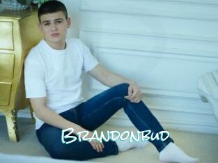 Brandonbud