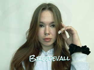 Breedevall