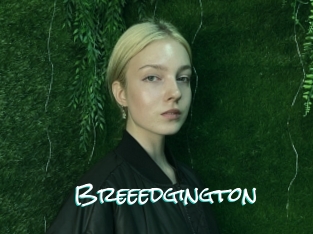 breeedgington Sensuality Dream