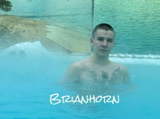Brianhorn