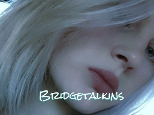 Bridgetalkins