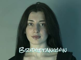 Bridgetangwin