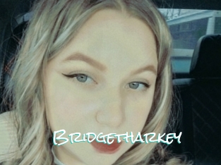 Bridgetharkey