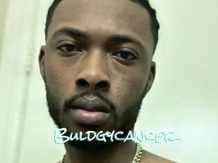 Buldgycancer