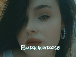 Burningrose
