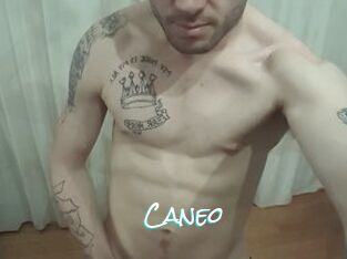 Caneo