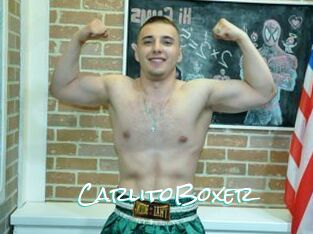 CarlitoBoxer