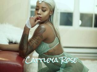 Cattleya_Rose