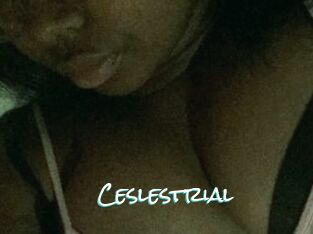 Ceslestrial