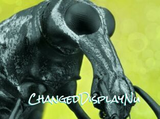 ChangedDisplayNu