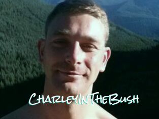 CharleyInTheBush