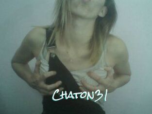 Chaton31
