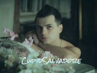 CupidSalvadore